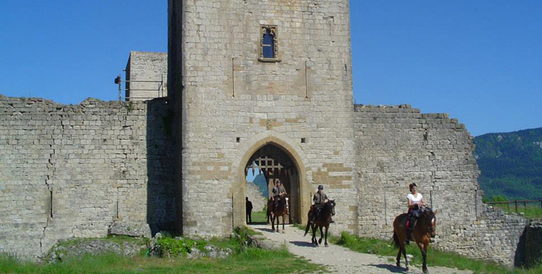 A05 Languedoc.jpg